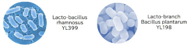 Lactobacillus rhamnosus YL399 and Lactobacillus plantarum YL198