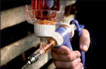 Antimicrobial Resistance