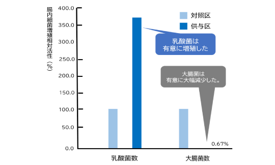 有用菌、有害菌の増殖評価