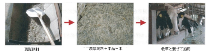 搾乳牛への与え方