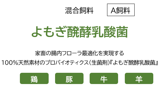 よもぎ醗酵乳酸菌の概要